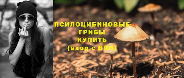 apvp Баксан