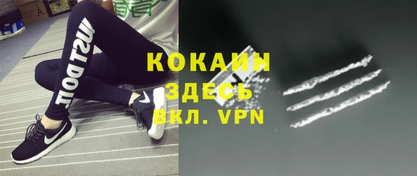 шишки Балабаново