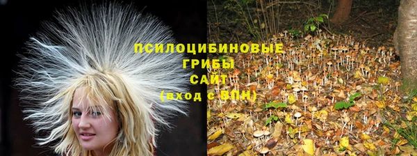 apvp Баксан