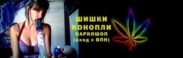 шишки Балабаново