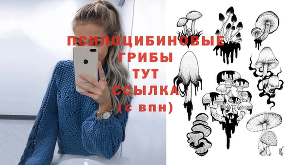 шишки Балабаново