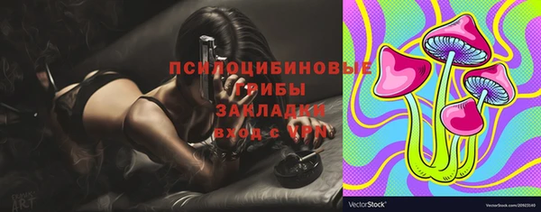 apvp Баксан