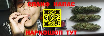 прущие крисы Аргун