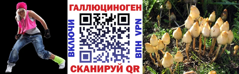 сколько стоит  Баксан  Псилоцибиновые грибы Psilocybine cubensis 