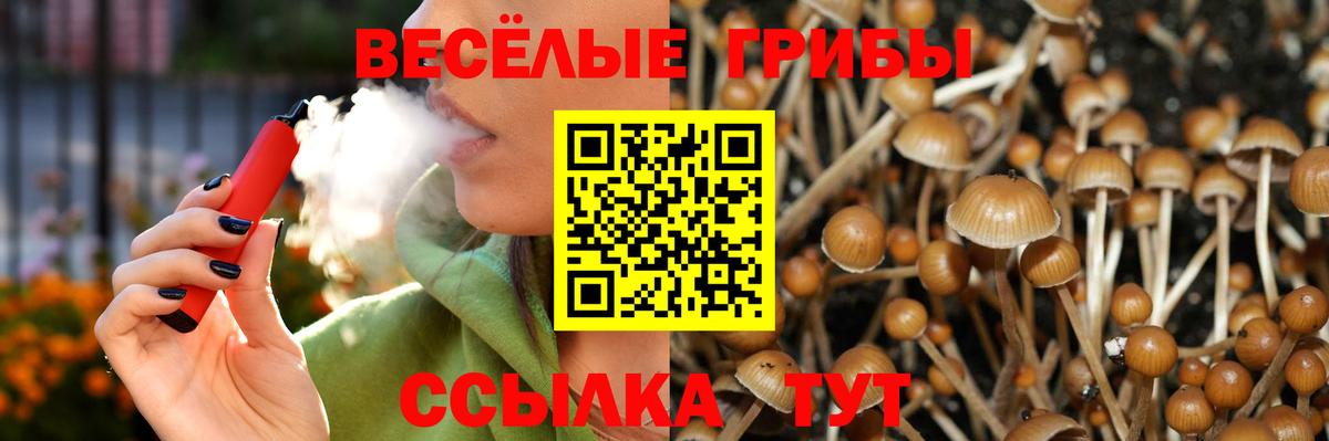 Баксан  Галлюциногенные грибы мухоморы  Вход с VPN 
